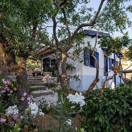 Les Maisons De Pecheurs Sete Bagian luar foto